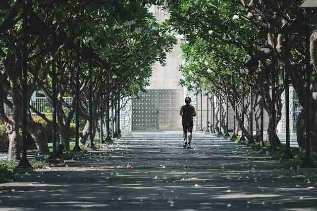 极速蘑菇视频体验:上手攻略